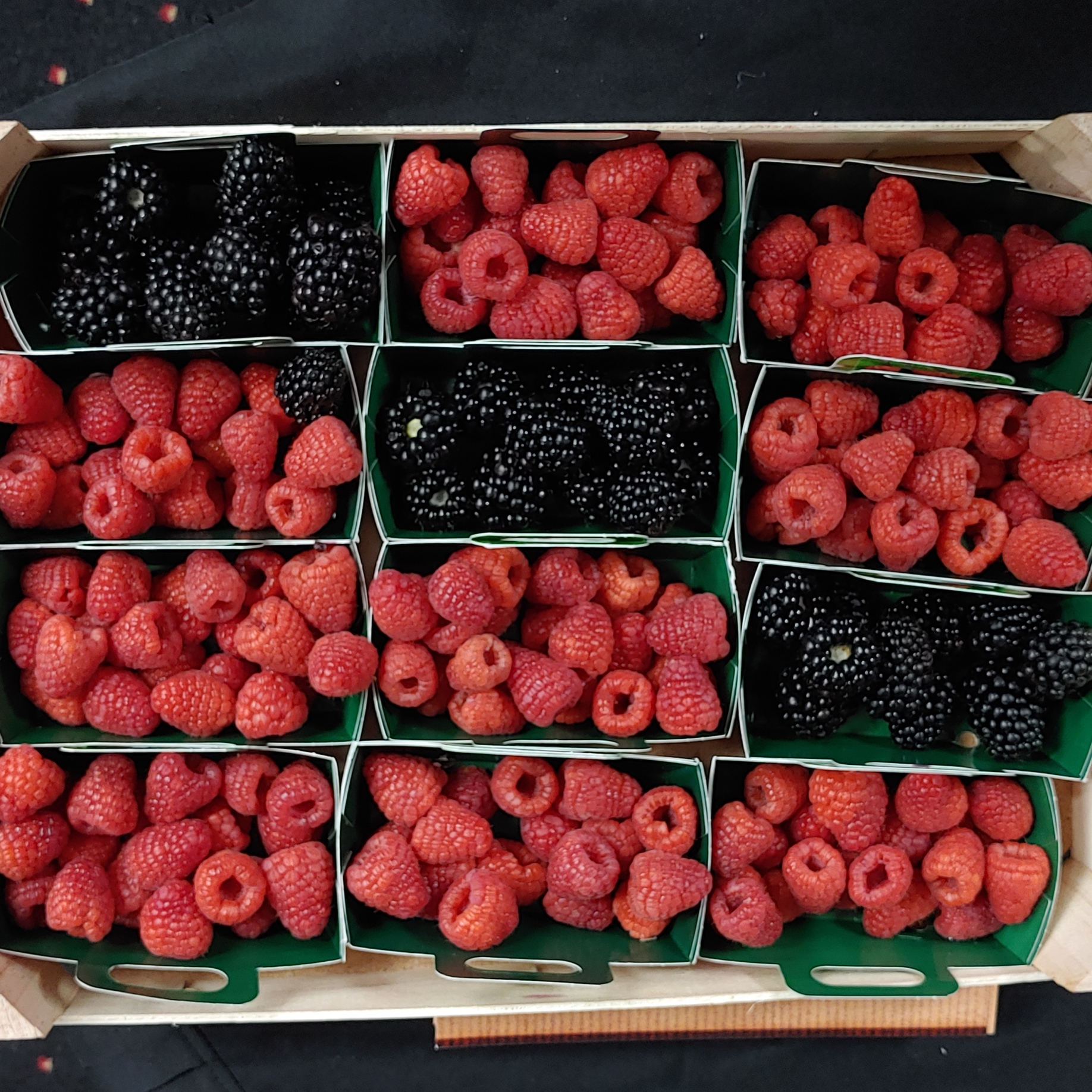 <strong>Rising exports </strong>of Moroccan berries