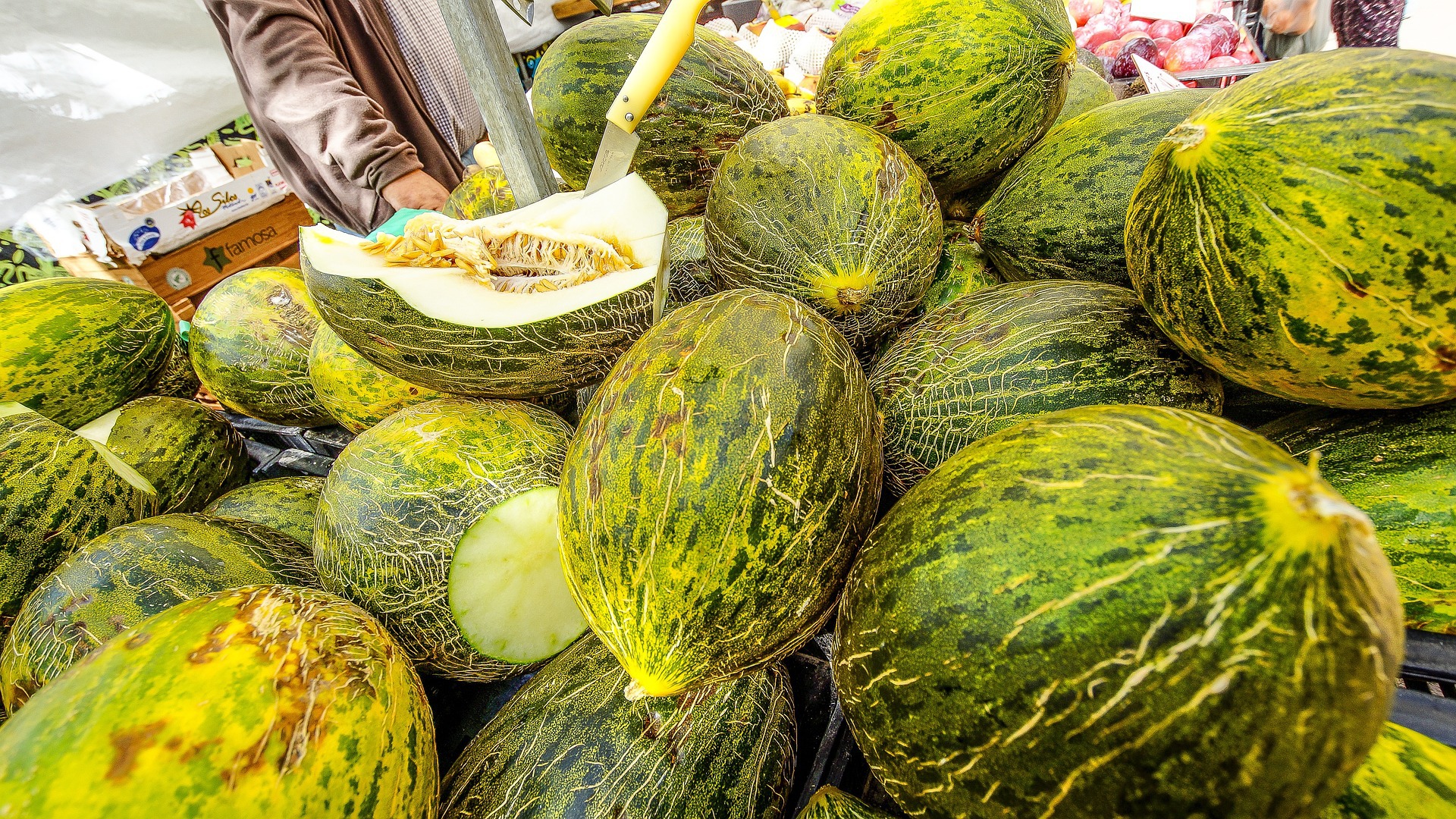 Positive outlook for spring melon campaign in Spain
