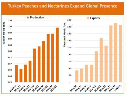 Turkey replaces EU as world’s <strong>largest exporter </strong>of peaches and nectarines