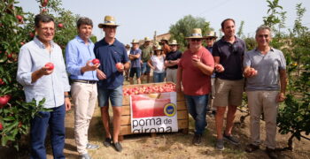 Poma de Girona forecasts bumper apple crop despite drought