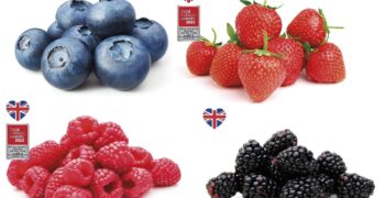 Lidl biggest supporter of UK berry industry 