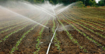 Chilean parliament approves modified irrigation law