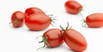 Exploring the Delectable World of Tomato Varieties by Breedx