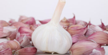 Spain’s garlic sector warns of drop in yields and increase in costs