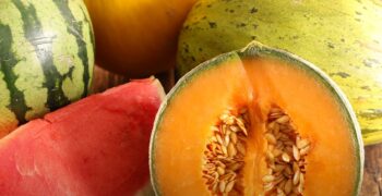 Spanish melon and watermelon consumption recovers in August
