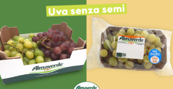 Almaverde Bio seedless grapes: increasingly in demand in Italy and Europe