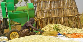 UN calls for transformation of food systems to get back on track