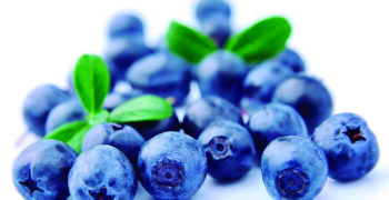Peru’s blueberry exports down 25%