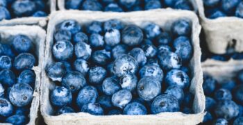 Peruvian blueberry exports down by 50%