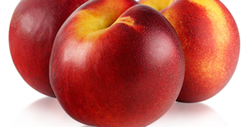 Larger global peach and nectarine crop projected