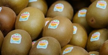 Kiwifruit rising in popularity