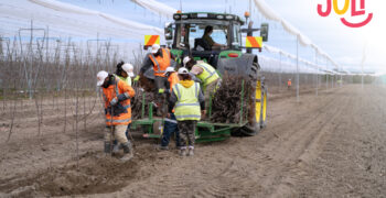 Planting begins for new Joli™ apple in New Zealand