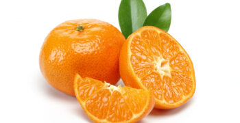 Nadorcott Protection (NCP) takes action to warn UK supermarkets about the sale of “Tango” mandarins