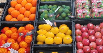 Netherlands sets aside €50m for developing organic market