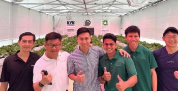 NZ firms invest in hi-tech Malaysian-grown strawberries