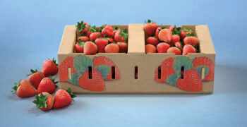 Rising demand for packaged fruit