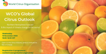 WCO Global Citrus Outlook forum to be held on 15 November