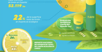 Spain leads world in organic lemon and grapefruit production