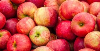 Italian fruit exporters spying new Asian markets 