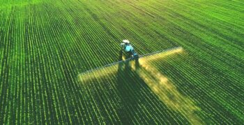 European Parliament rejects legislative project to reduce use of pesticides 