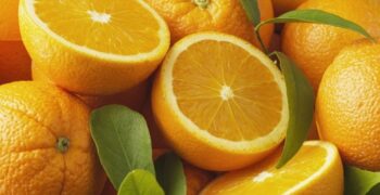 Northern Hemisphere citrus crop to rebound