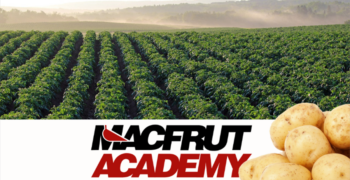 Macfrut Academy launches series of webinars