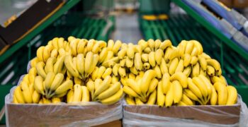 Paraguay joins Bolivia in halting banana exports to Argentina