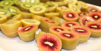 Zespri looks forward to record kiwi campaign 