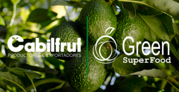 Chilean and Colombian avocado suppliers team up