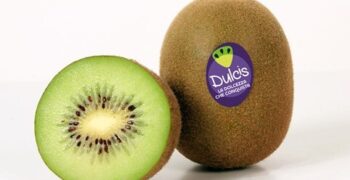 Alegra, Apofruit and Orogel, present the first premium Italian green kiwi so sweet and so good