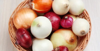 IOM 2023 highlights falling onion consumption 